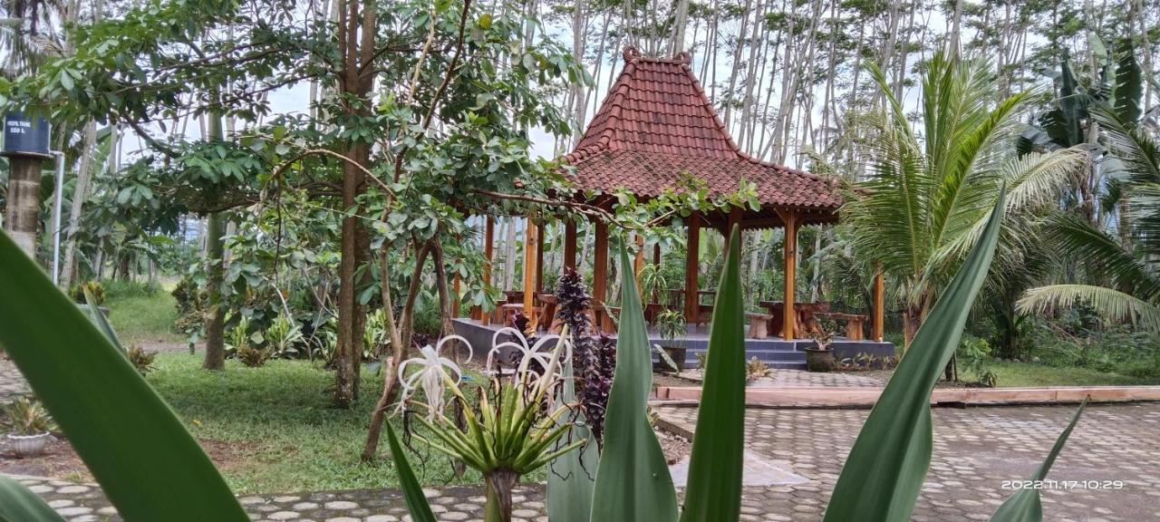 Adventure Turtle Homestay Meru Betiri Sarungan Bagian luar foto